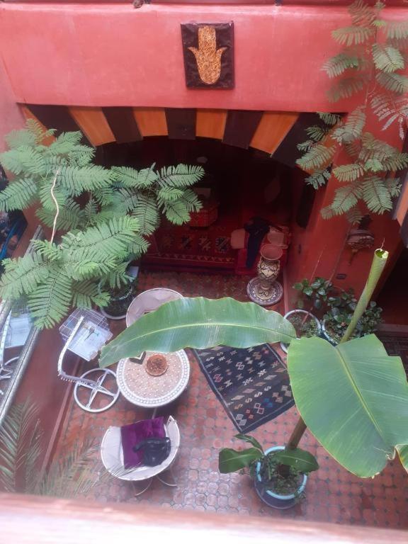 Riad Hanafi มาร์ราเกช ภายนอก รูปภาพ